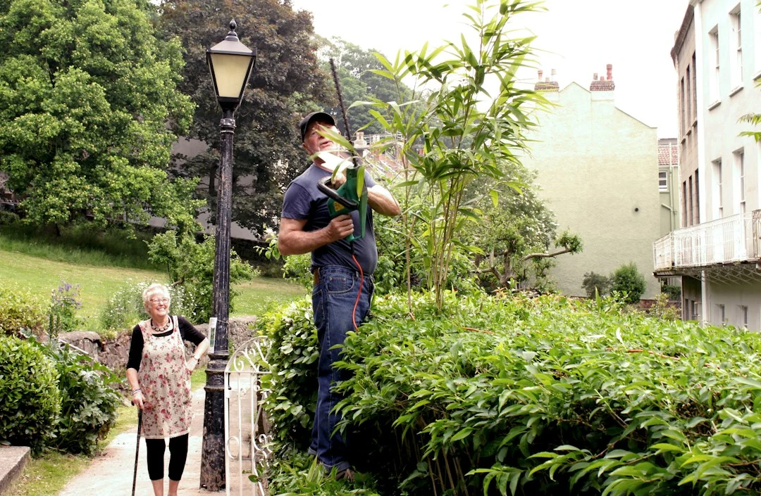 Illustrative older woman and a gardener enjoying a lush courtyard garden